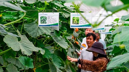 空間站與“卡脖子”，中國在警醒中爭取“逆襲